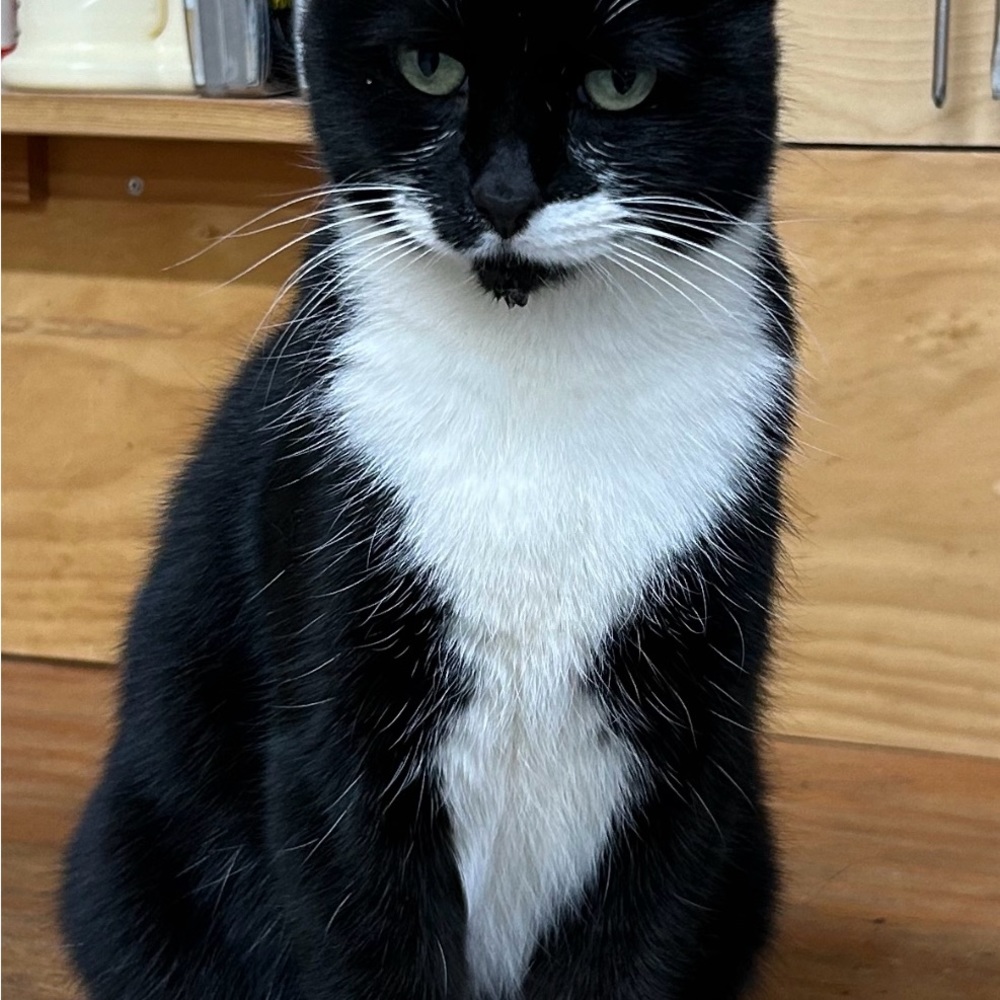 Meet your Posher, Heather